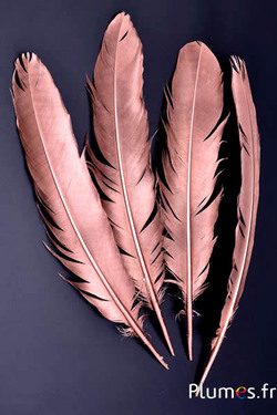 Paon bleu - 30-35  cm - bronze